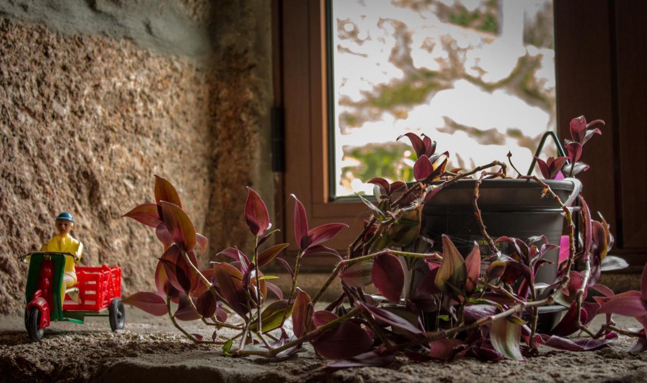 Casa Das Lages Viariz エクステリア 写真